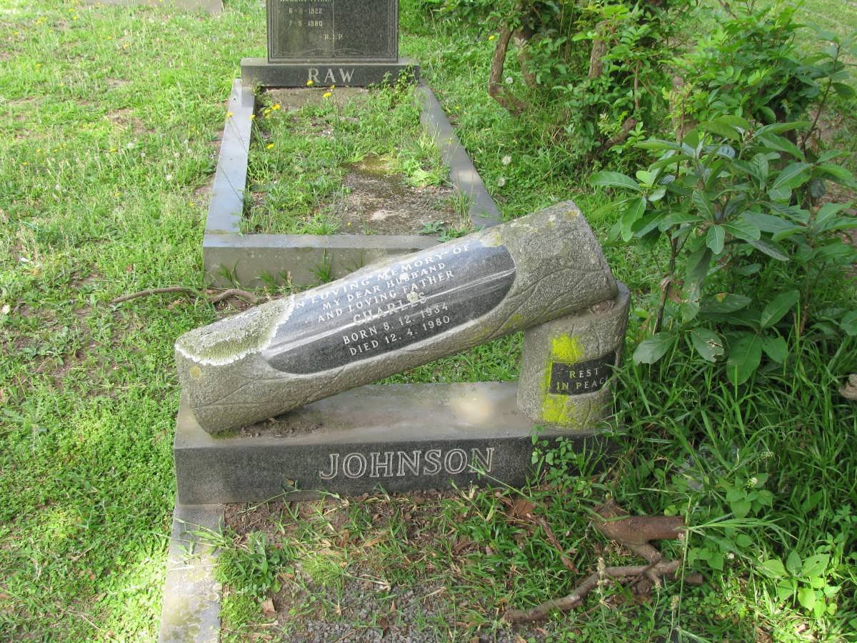 JOHNSON Charles 1934-1980