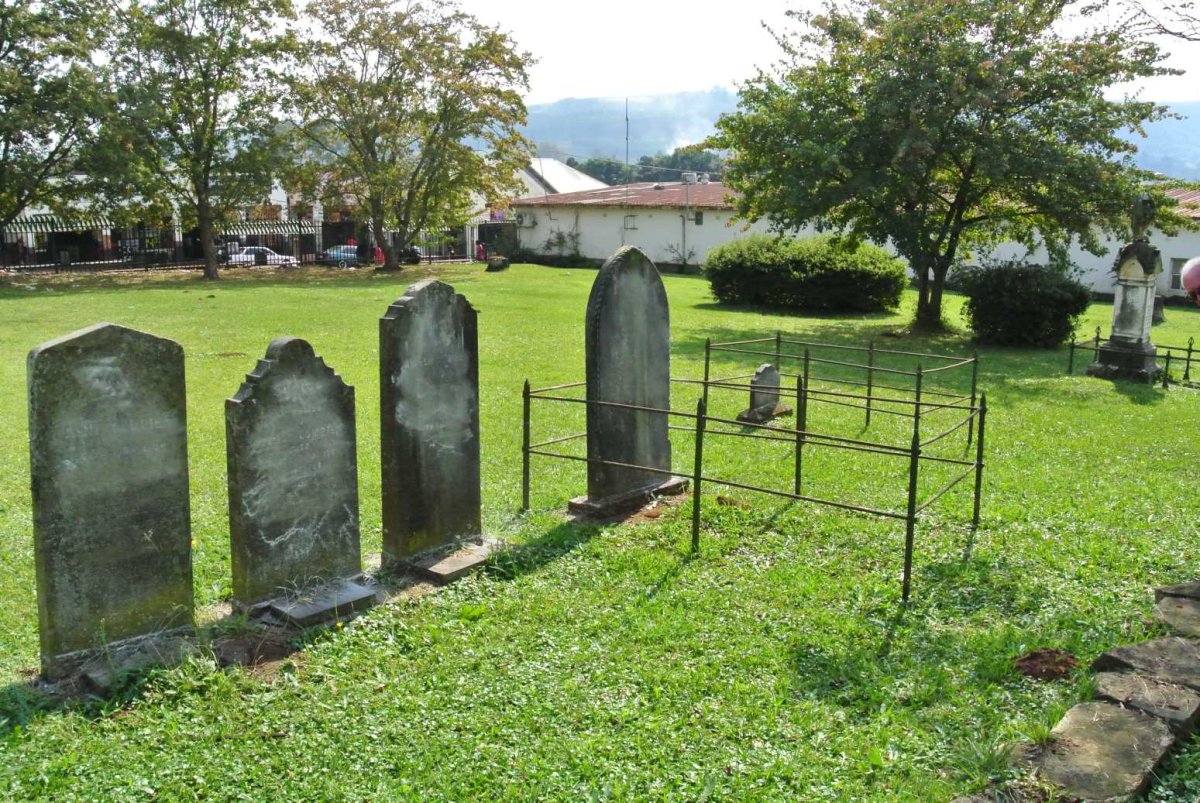 7. Overview