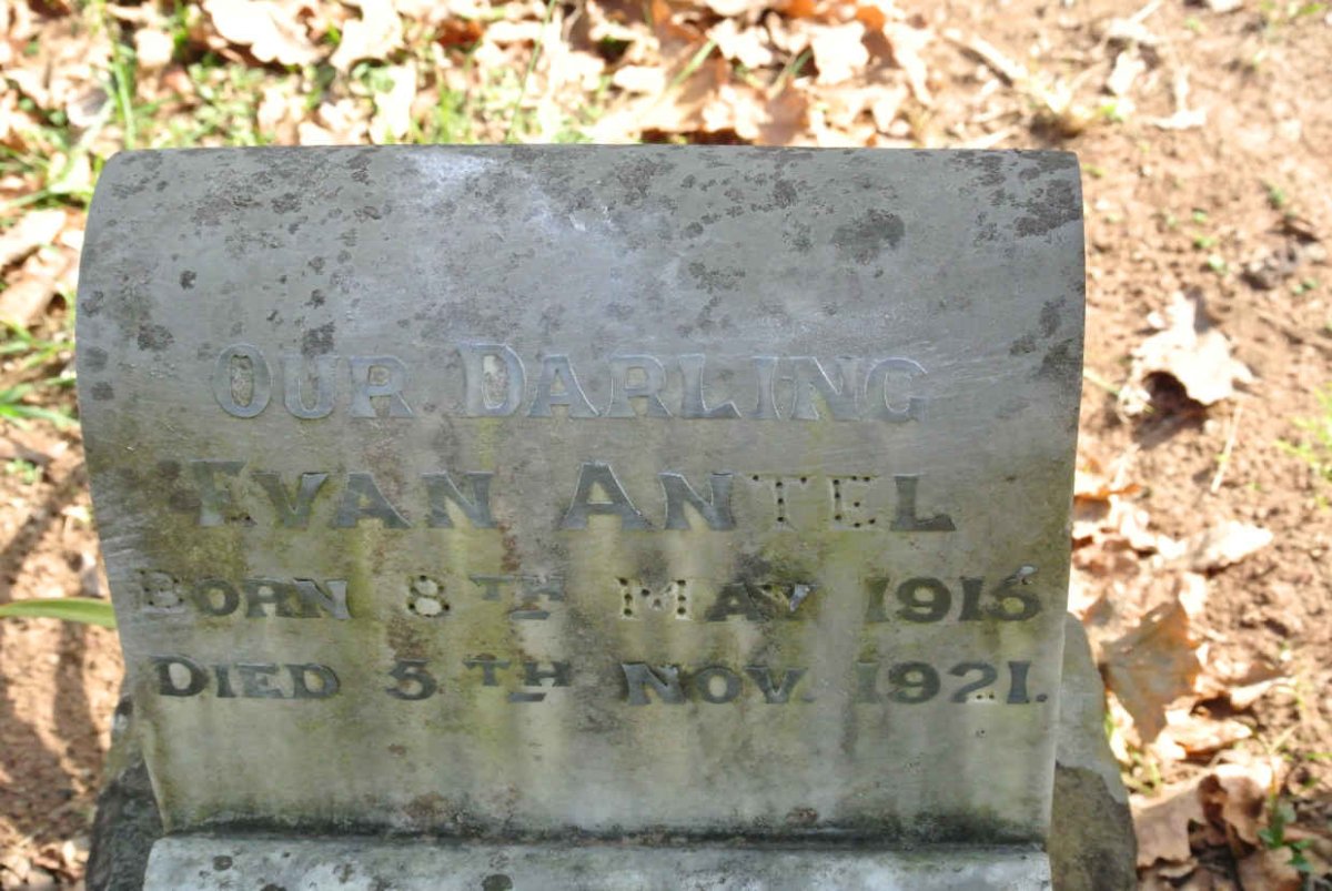 ANTEL Evan 1915-1921