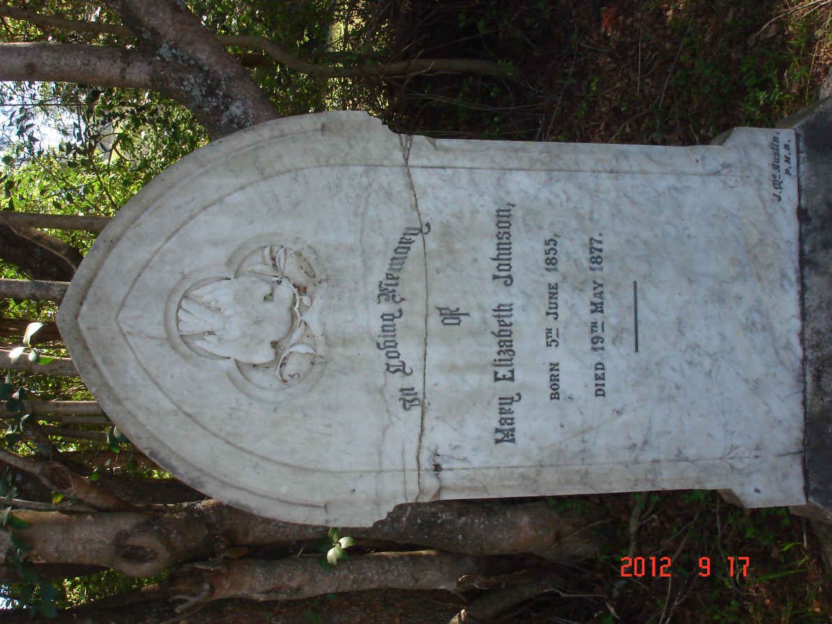JOHNSON Mary Elizabeth 1855-1877
