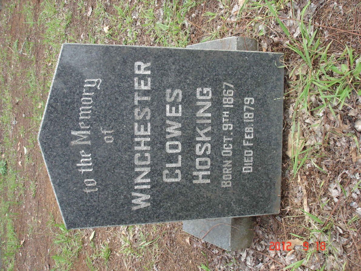 HOSKING Winchester Clowes 1867-1879