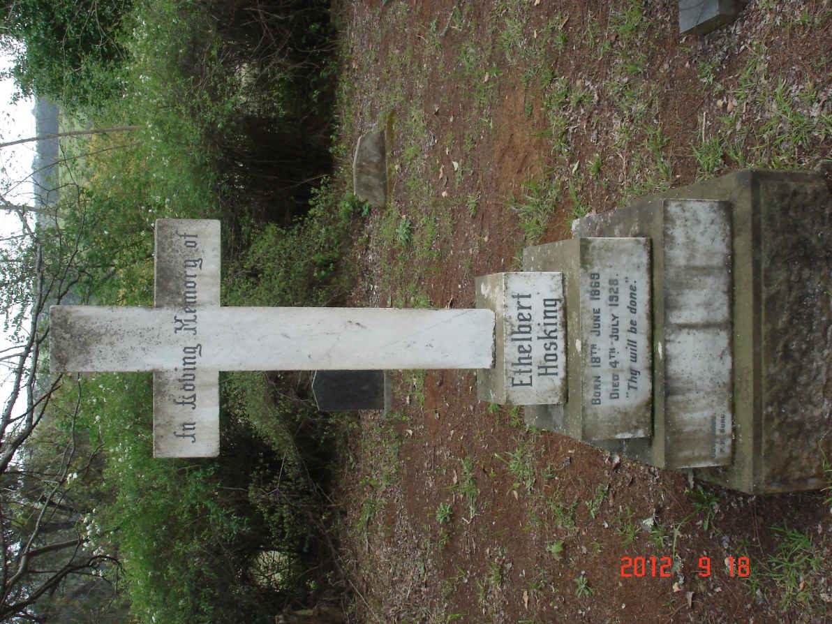 HOSKING Ethelbert 1869-1928