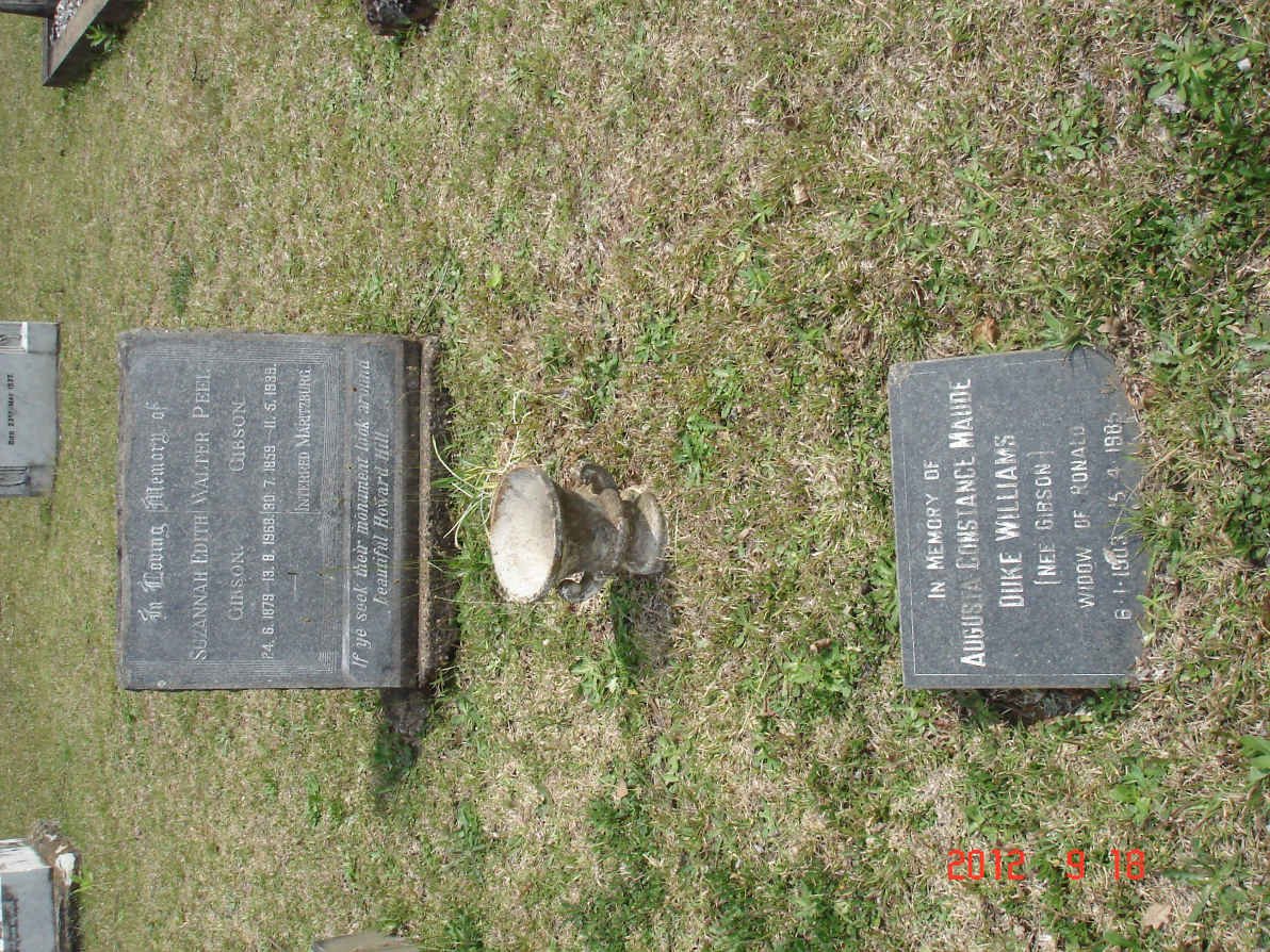 GIBSON Walter Peel 1859-1939 &amp; Suzannah Edith 1879-1968 :: WILLIAMS Augusta Constance Maude Duke nee GIBSON 1903-1985