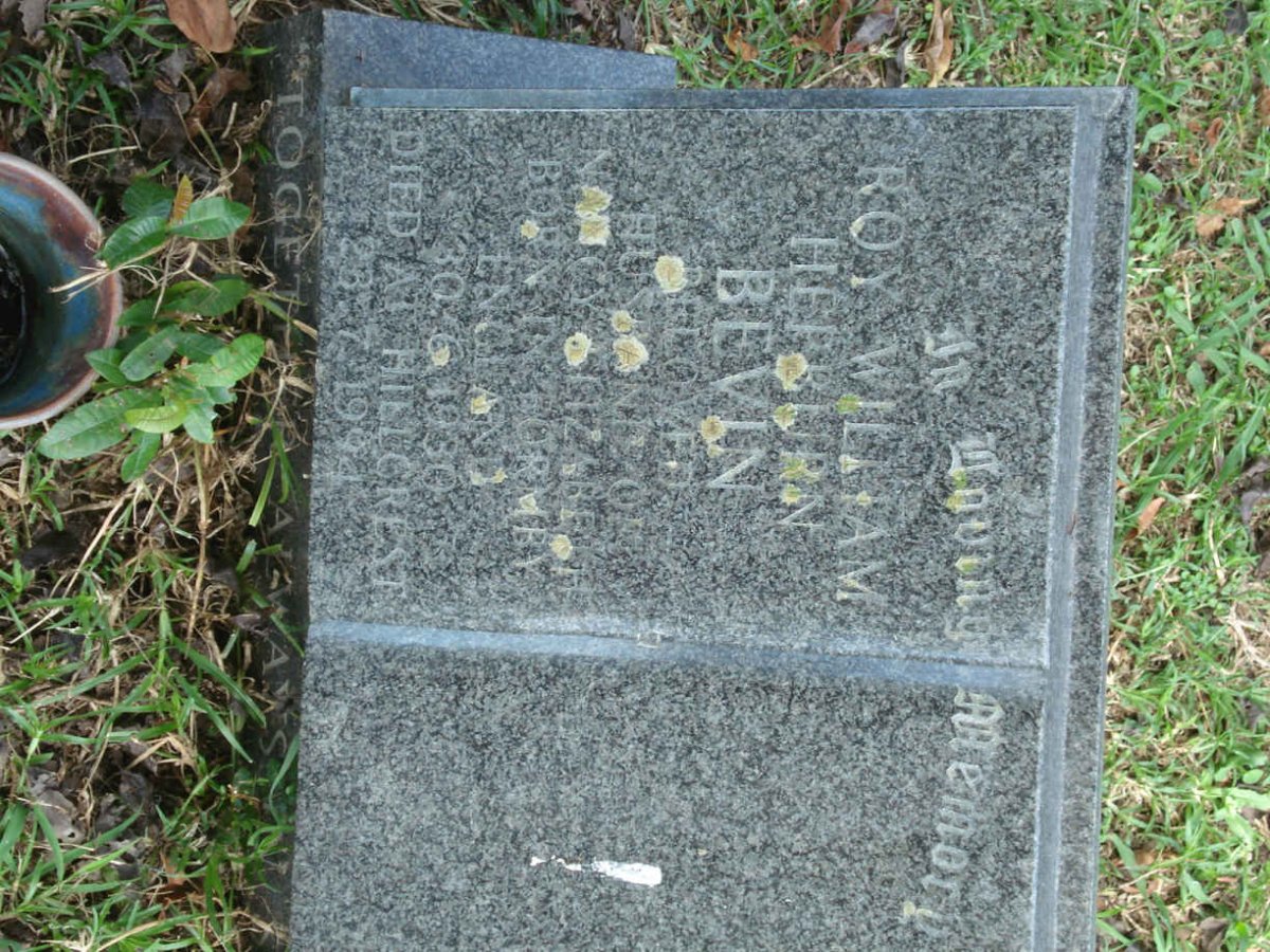 BEVIN Roy Hepburn 1930-1994