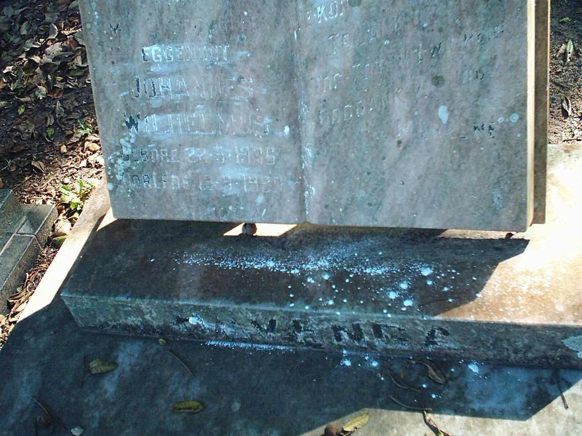HAVENGA Johannes Wilhelmus 1975-1999