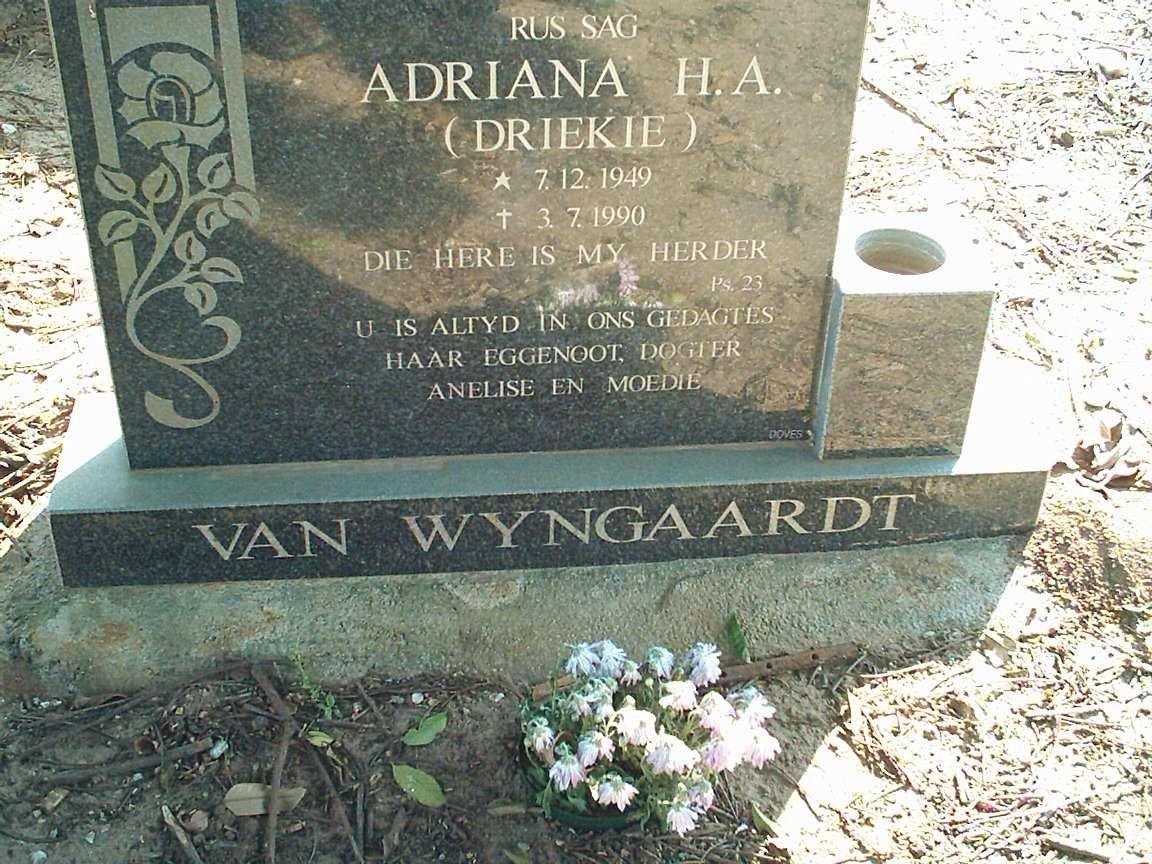 WYNGAARDT Adriana H.A., van 1949-1990