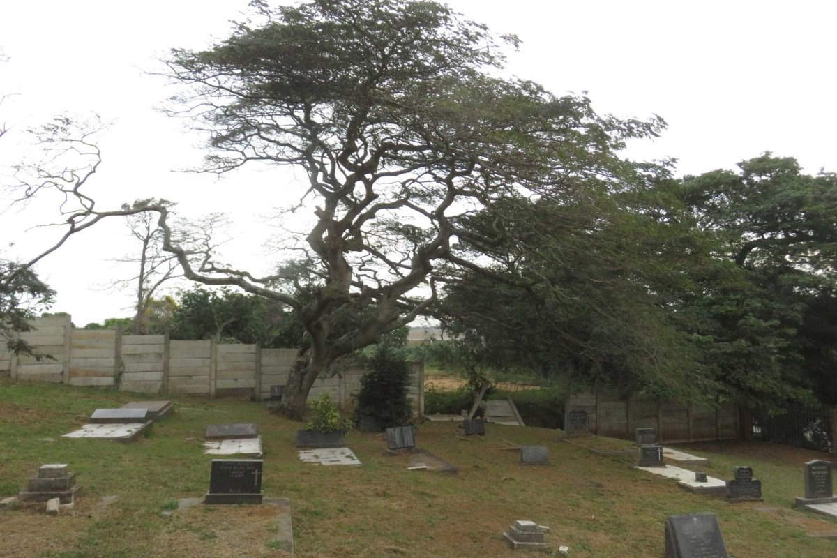 5. Overview