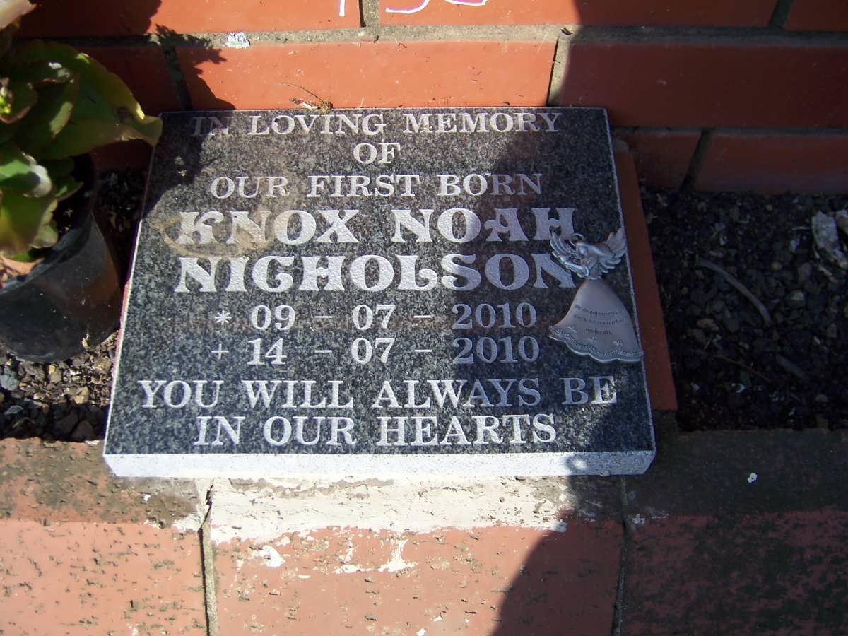 NICHOLSON Knox Noah 2010-2010