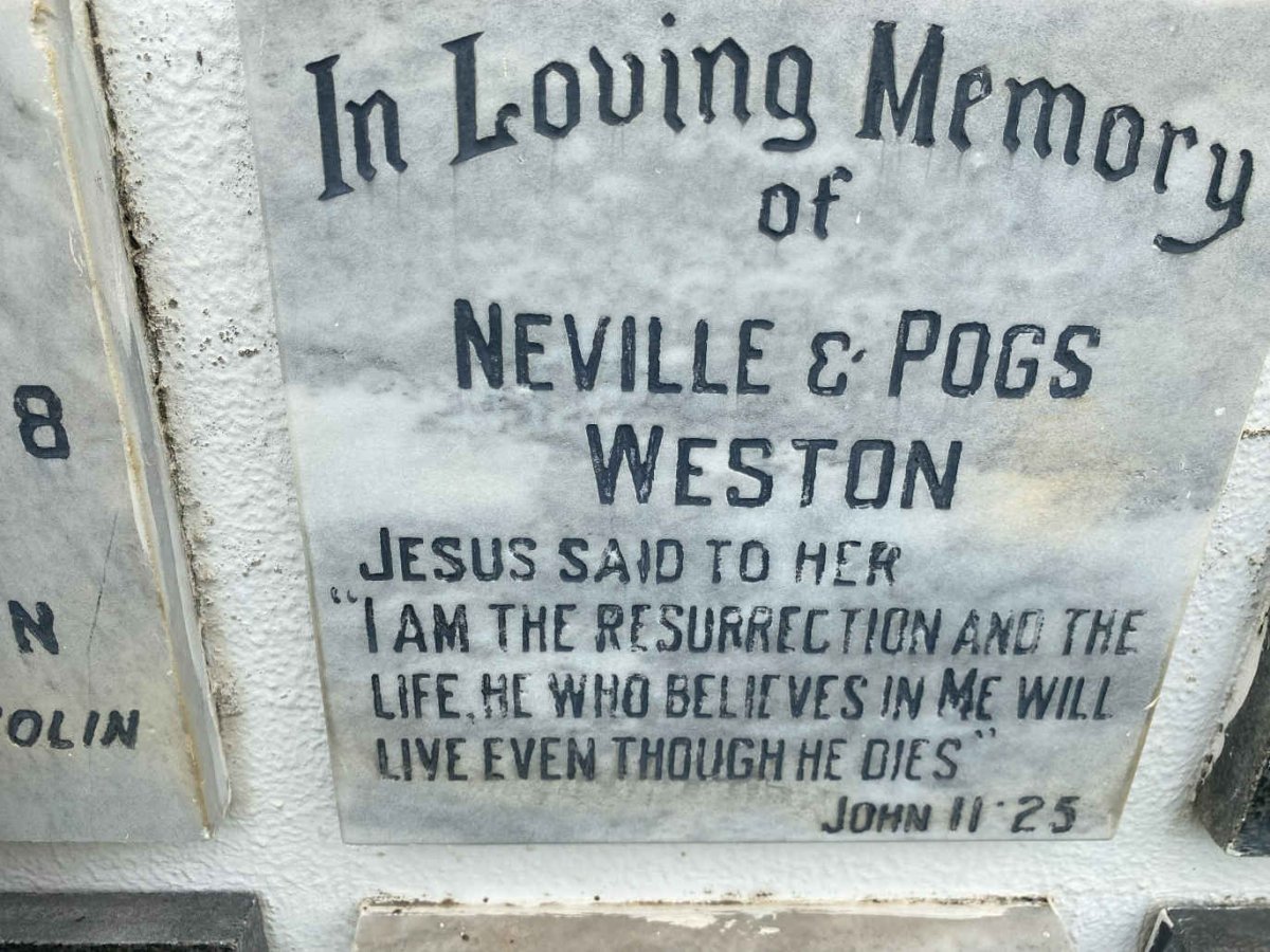WESTON Neville & Pogs