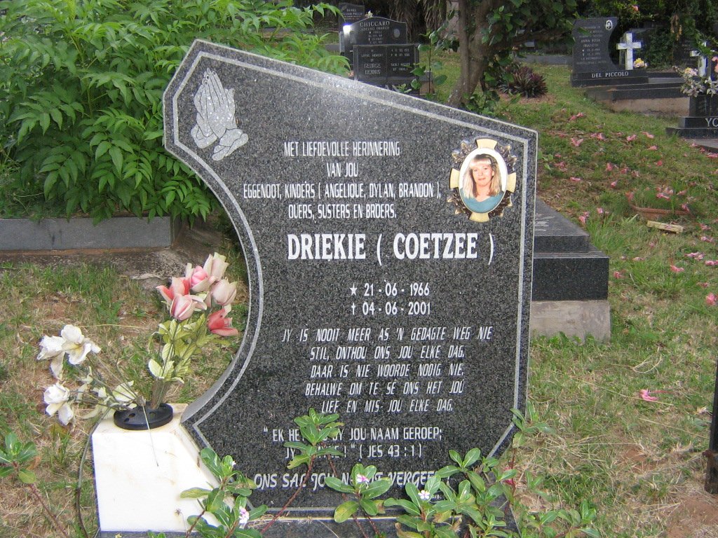 ? Driekie nee COETZEE 1966-2001