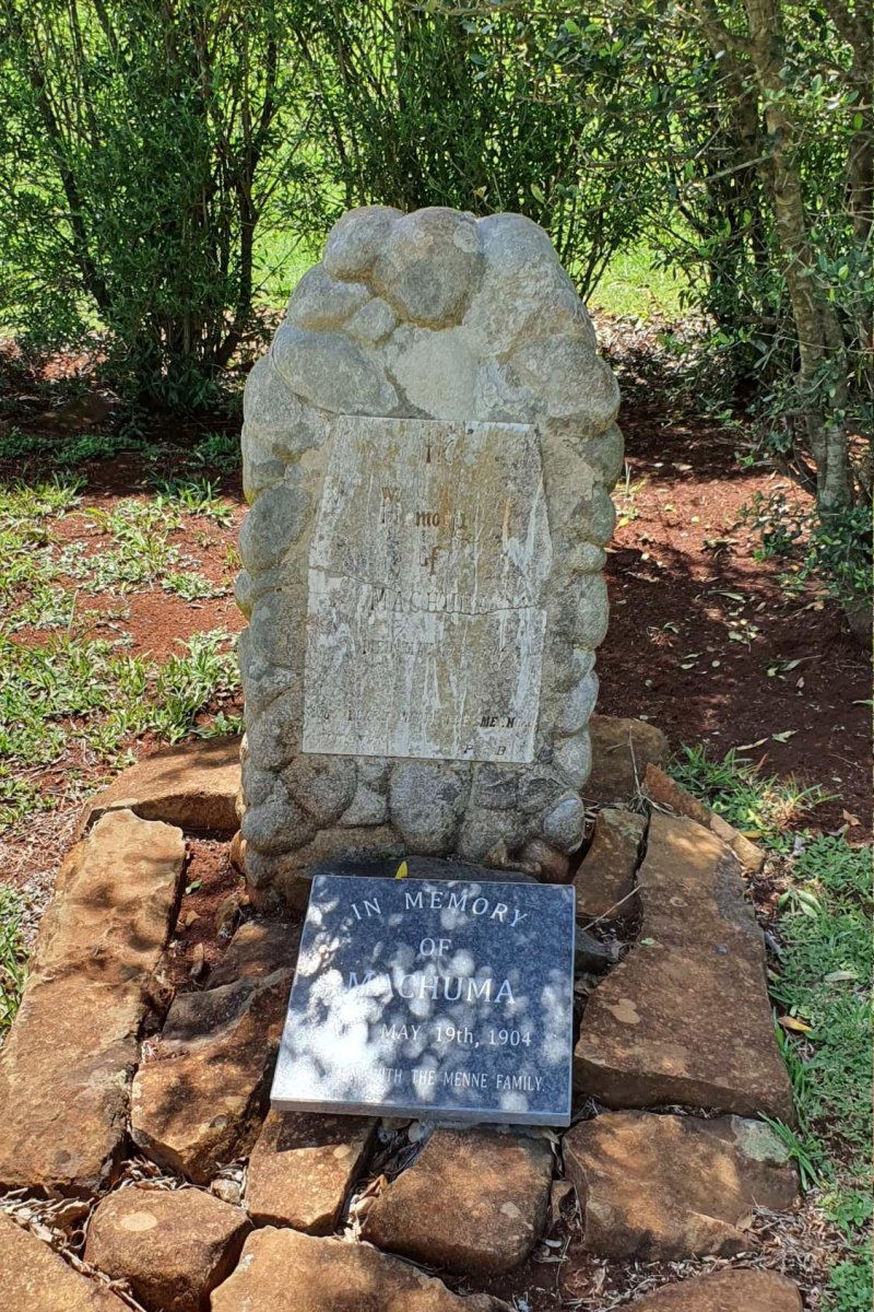 ? MACHUMA  -1904