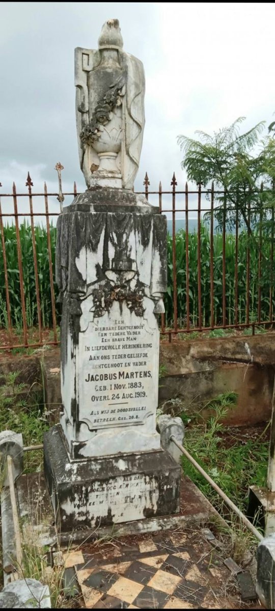 MARTENS Jacobus 1883-1919