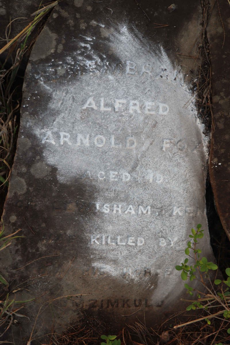 FOX Alfred Arnold 
