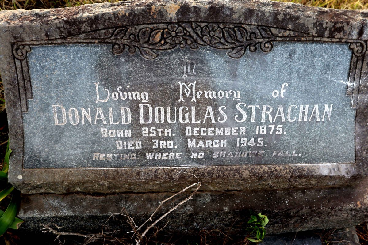 STRACHAN Donald Douglas 1875-1945