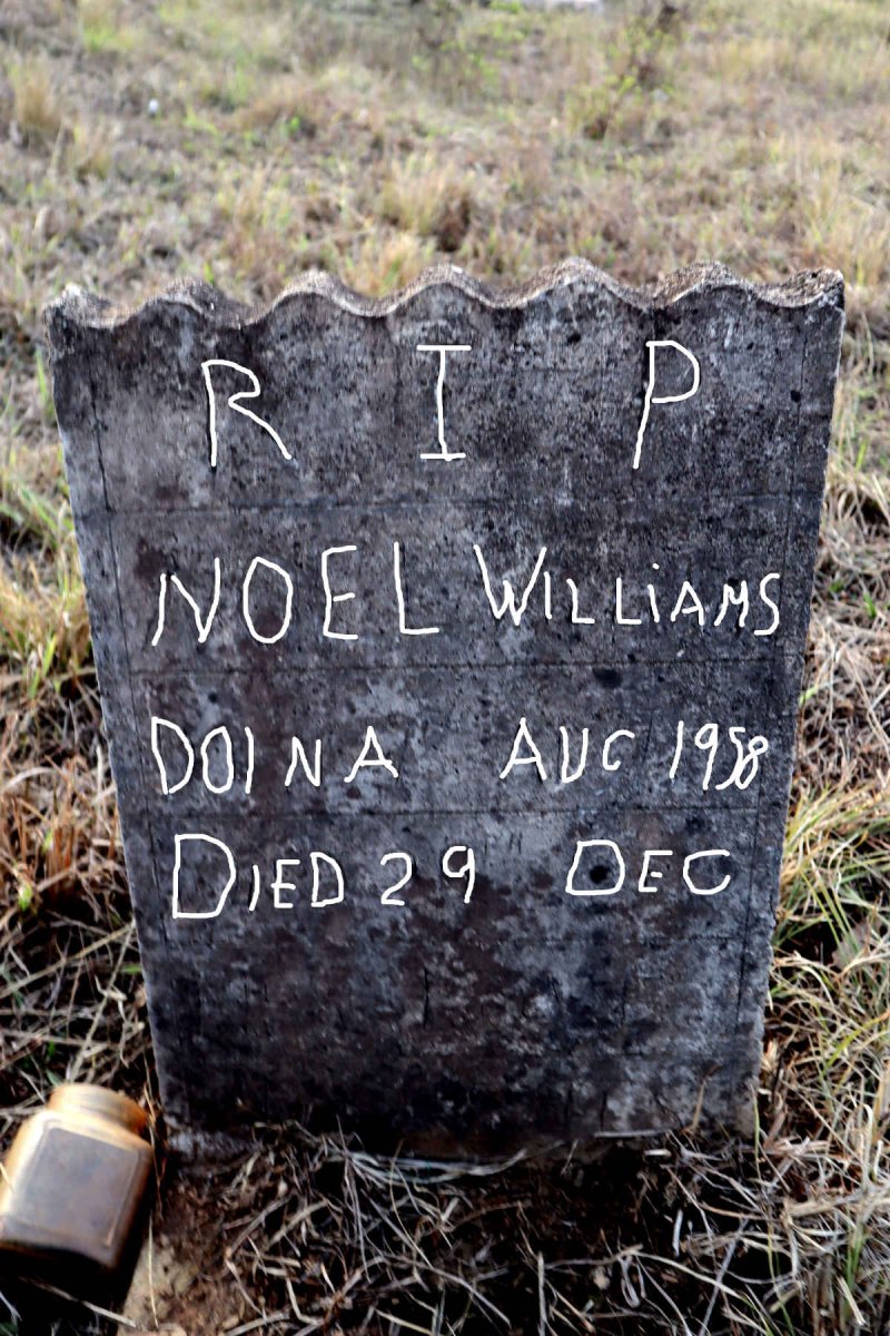 WILLIAMS Noel