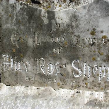 SHEP?? Alice Rose -19??
