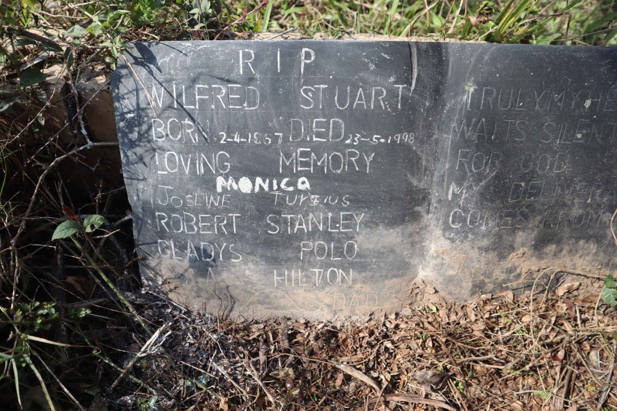 STUART Wilfred Dinky 1967-1998 _2