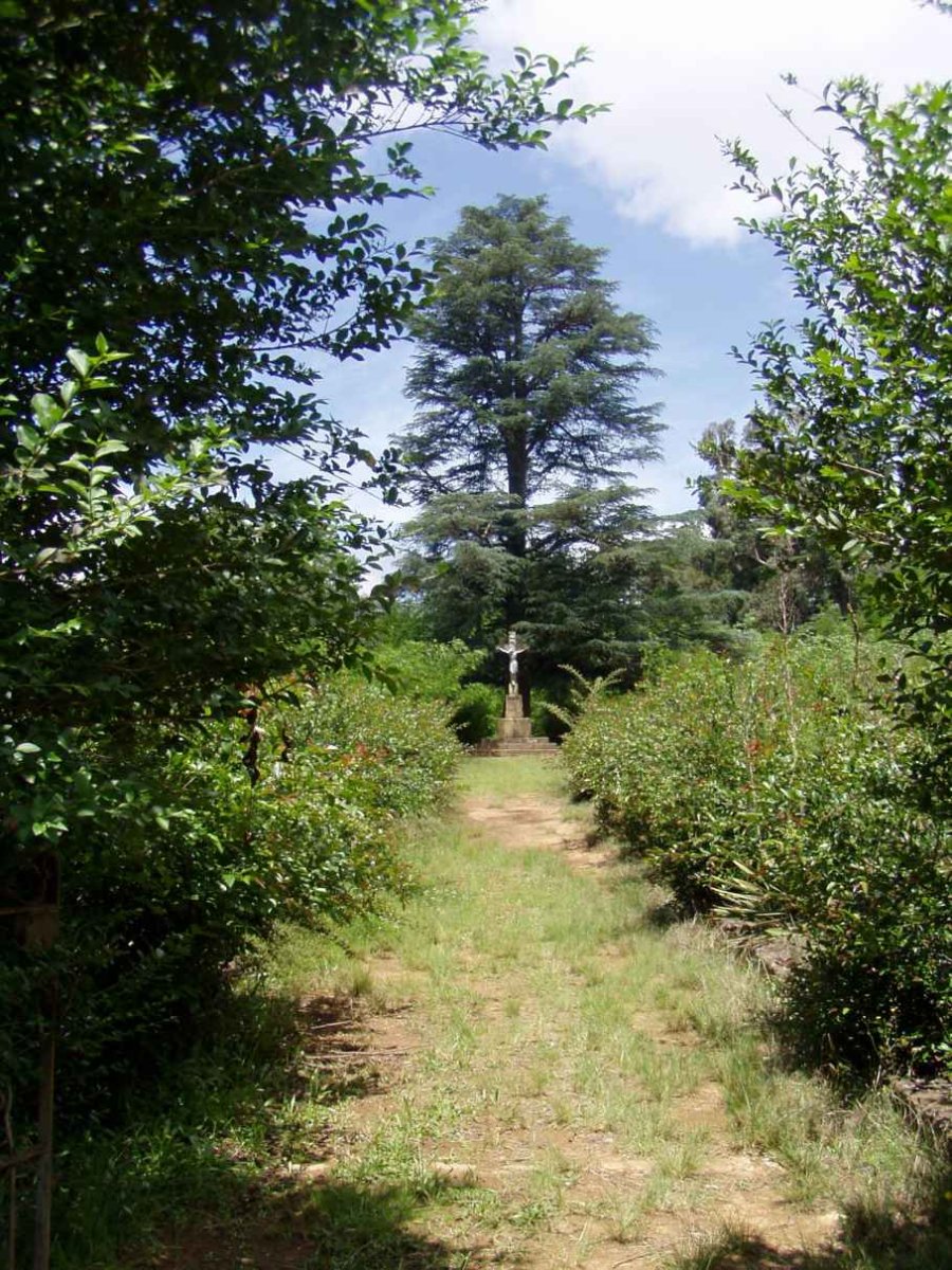 1. Overview