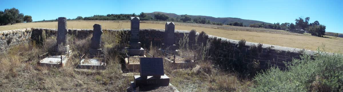 1. Overview