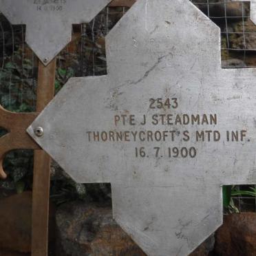 STEADMAN J. -1900