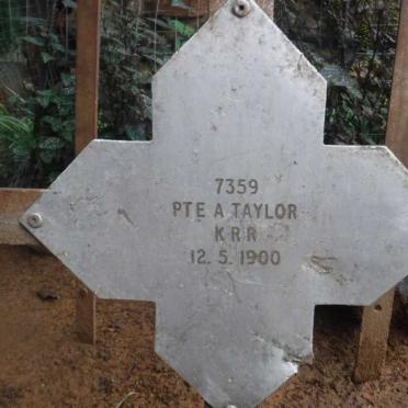 TAYLOR A. -1900