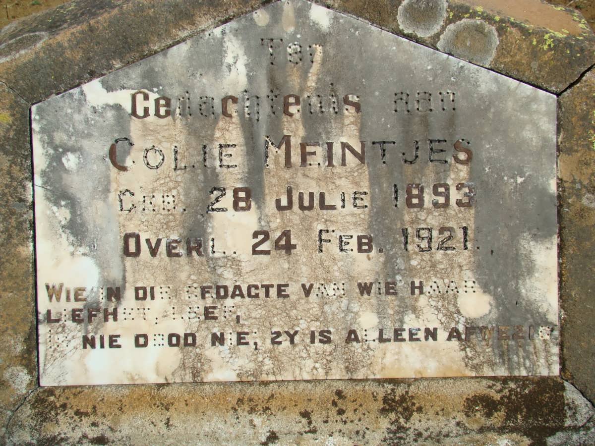 MEINTJES Colie 1893-1921