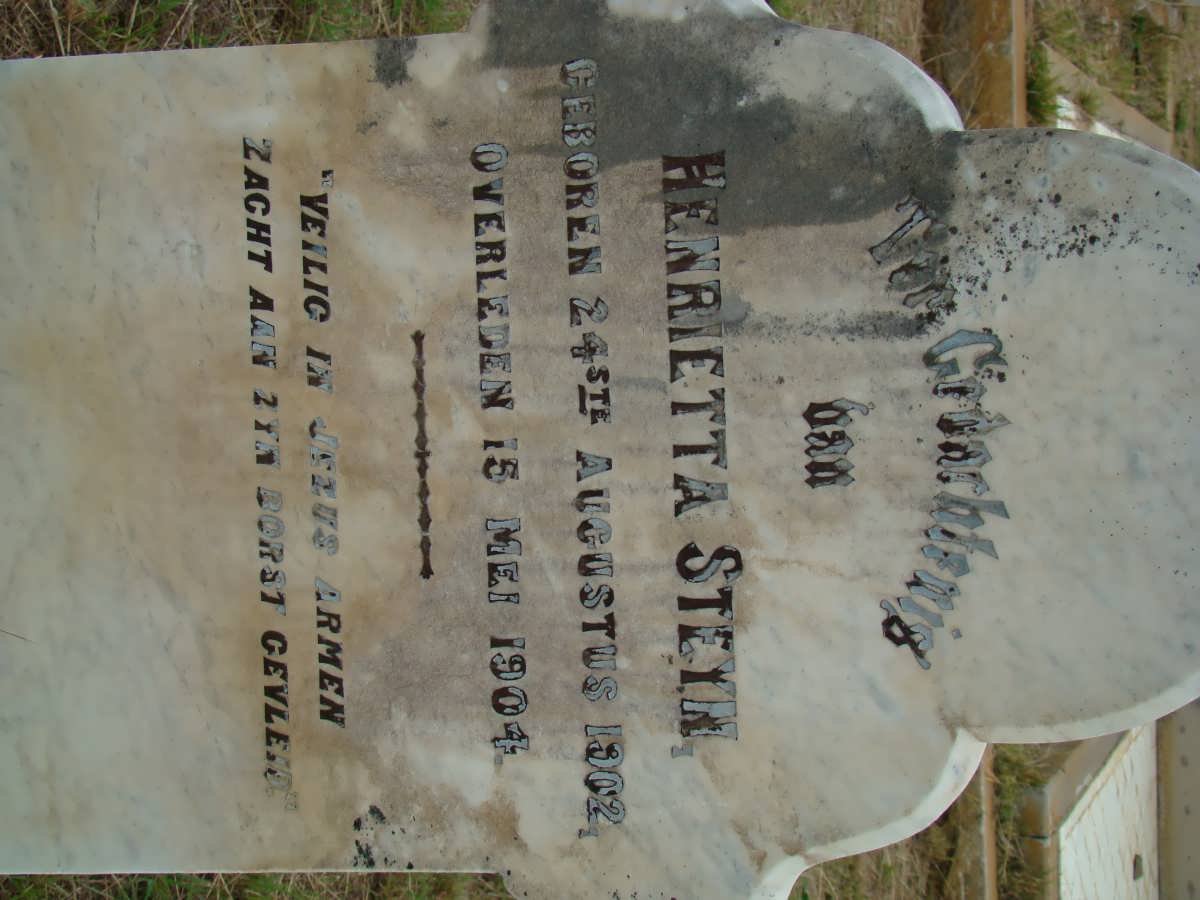 STEYN Henrietta 1902-1904