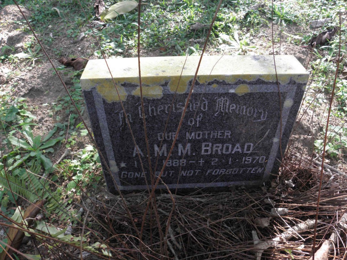 BROAD A.M.M. 1888-1970