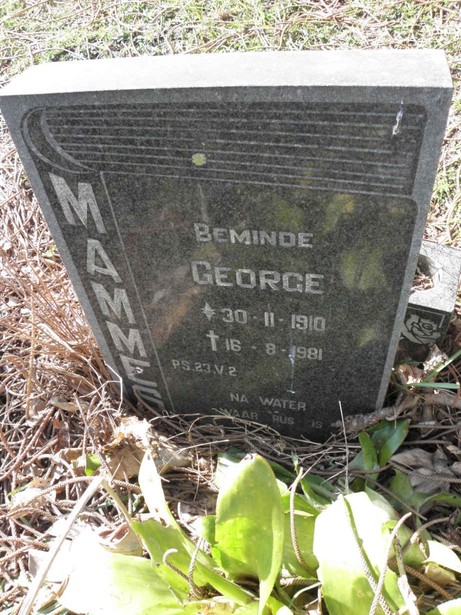 MAMMES George 1910-1981
