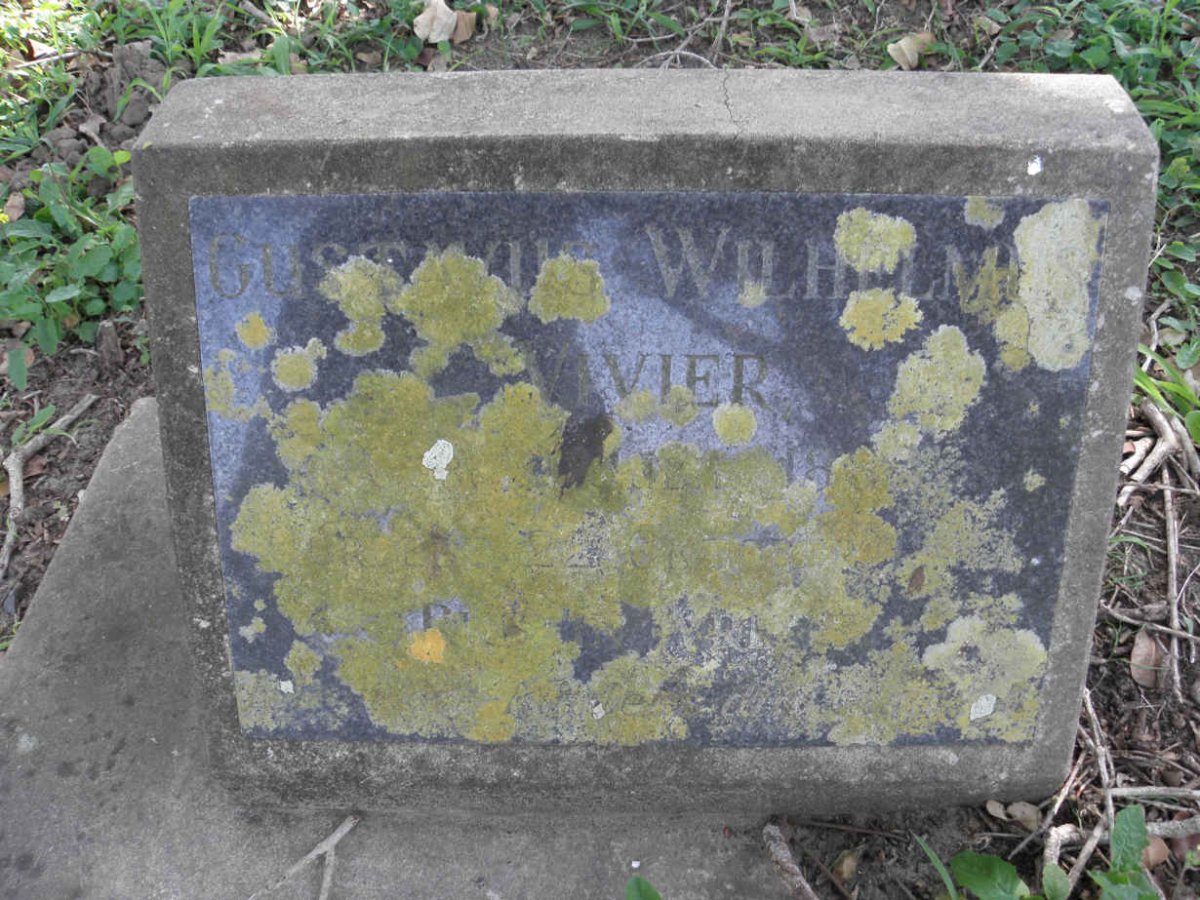 VIVIER Gustavus Wilhelm 188? -?