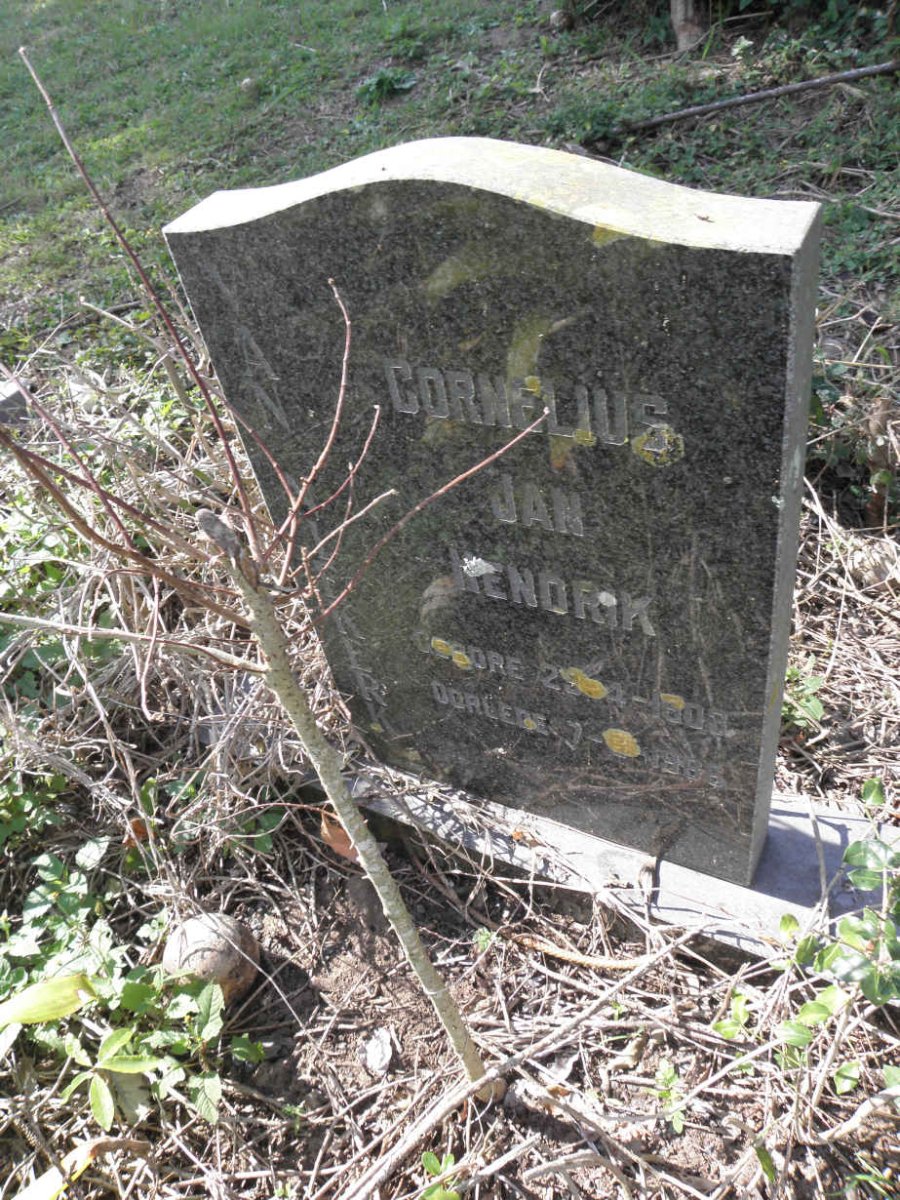 ? Cornelius Jan Hendrik 1908-1986