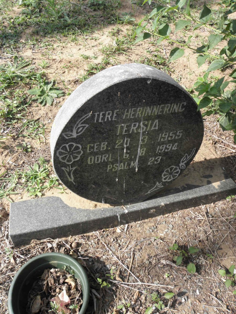 ? Tersia 1955-1994