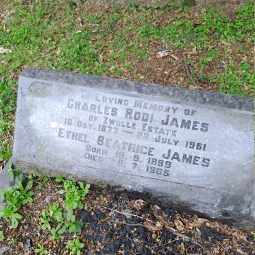 JAMES Charles Rodi 1877-1961 & Ethel Beatrice 1889-1985