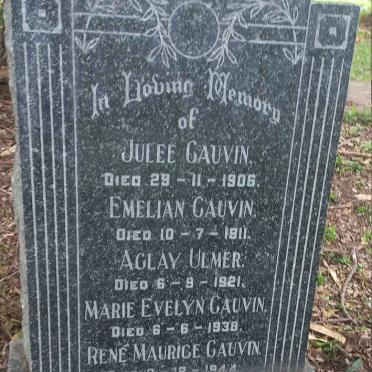 CAUVIN