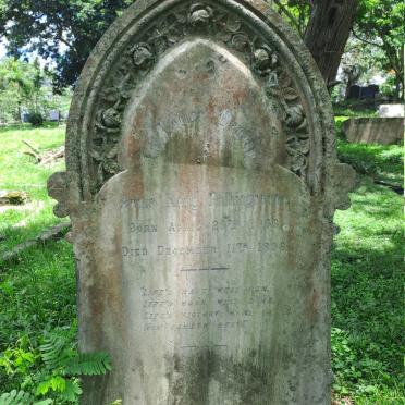 POLKINGHORNE Annie Mary 1856-1896