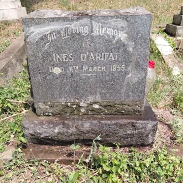 D'ARIFAT Ines -1955