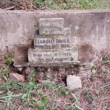 DAVIES Llandaff 1924-1926