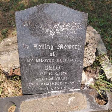 ? Delo -1976