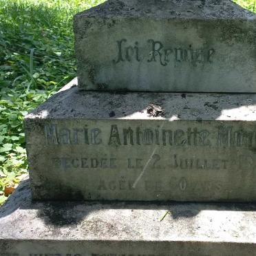 MONTILE Marie Antoinette -1925