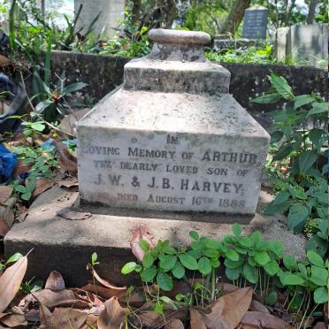 HARVEY Arthur -1888