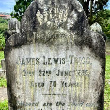 TRIGG James Lewis -1882