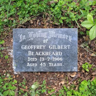 BLACKBEARD Geoffrey Gilbert -1966