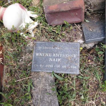 NAIK Wayne Anthony 1995-1996