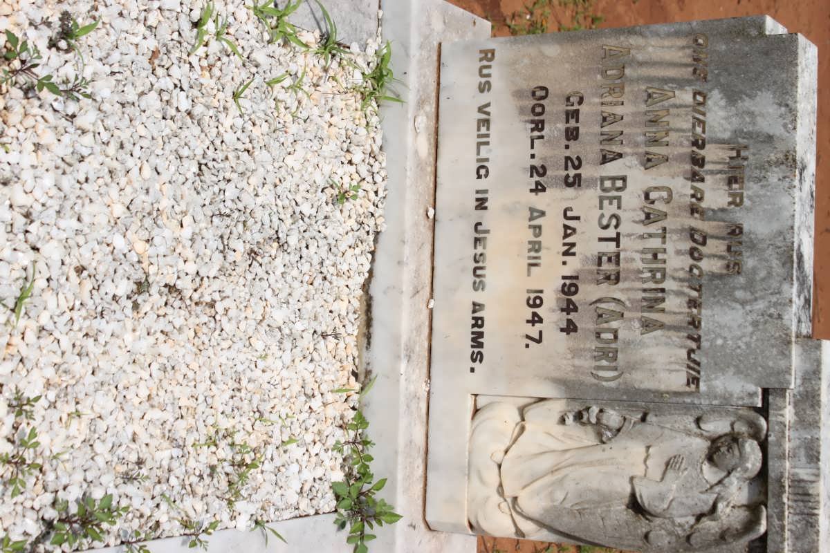 BESTER Anna Cathrina Adriana 1944-1947