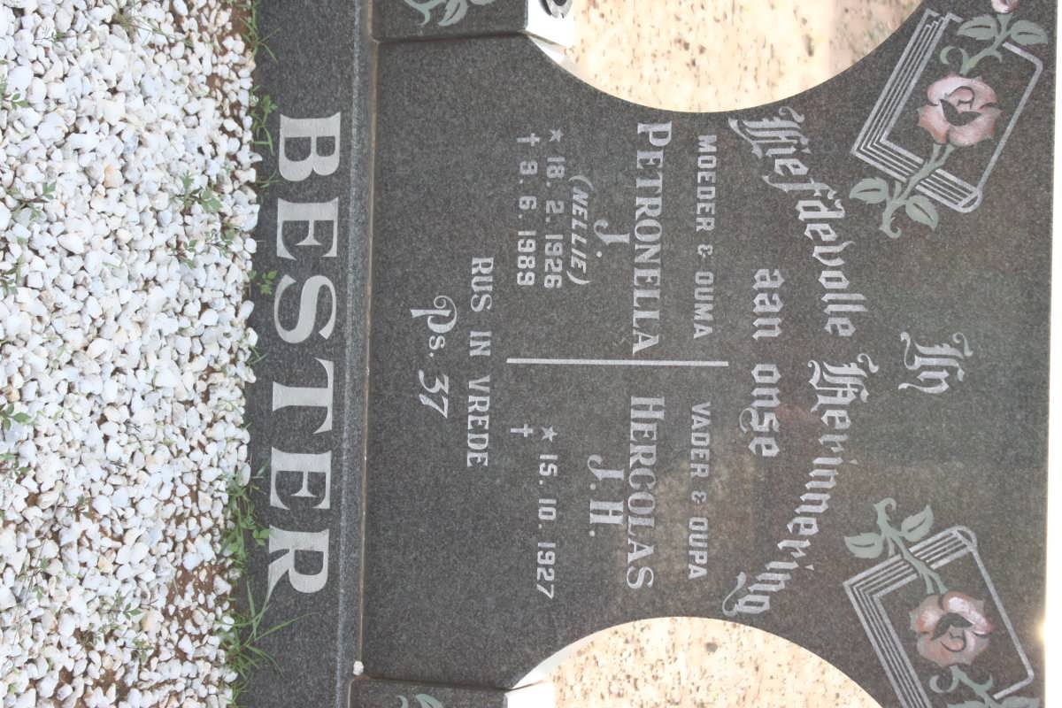 BESTER Hercolas J.H. 1927- &amp; Petronella J. 1926-1989