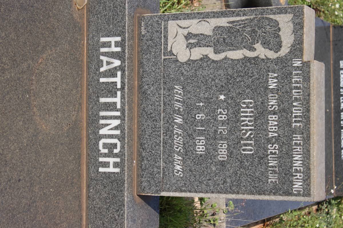 HATTINGH Christo 1980-1981