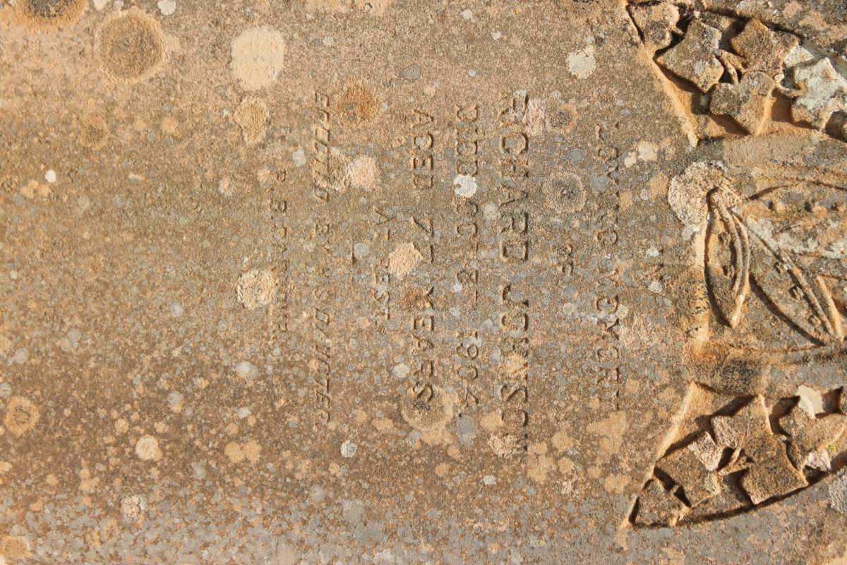 JOHNSON Richard -1904