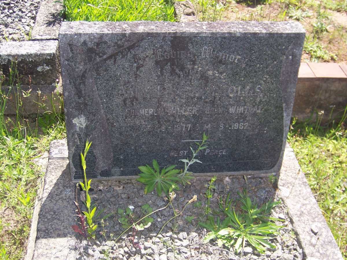 REYNOLDS Amy Eleanor formerly MILLER nee WHITTAL 1877-1962