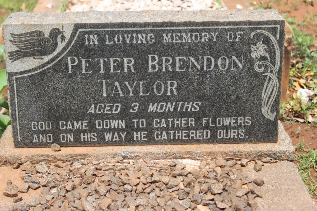 TAYLOR Peter Brendon