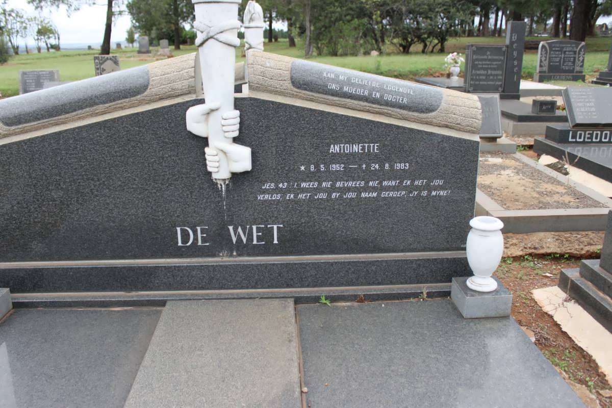 WET Antoinette, de 1952-1983